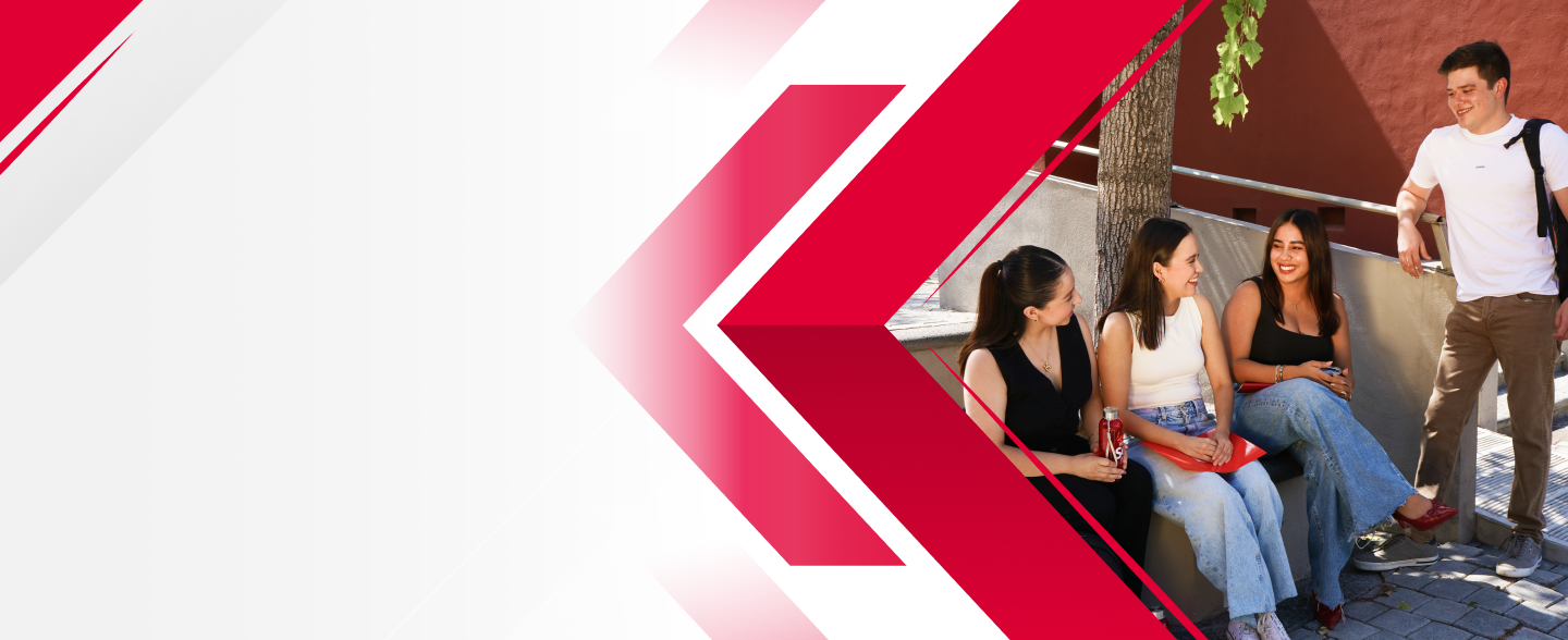 Descripción del banner