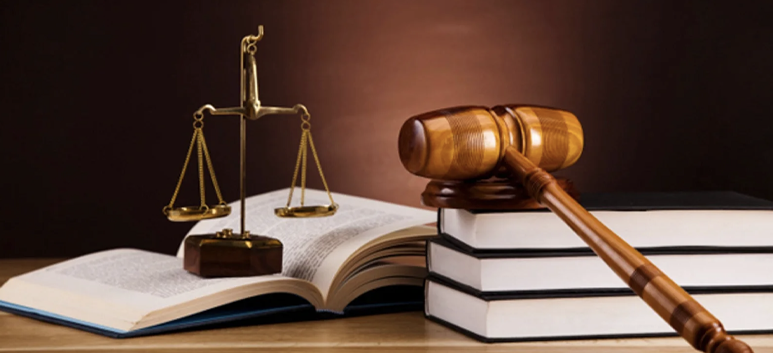 Derecho Constitucional y Amparo