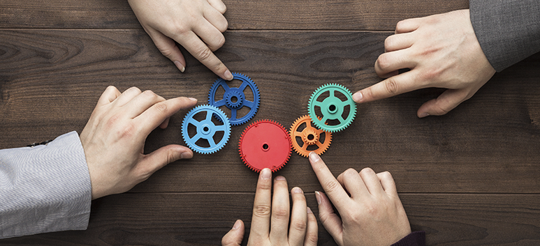 Desarrollo Organizacional