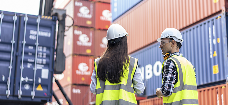 Ingeniería en Logística