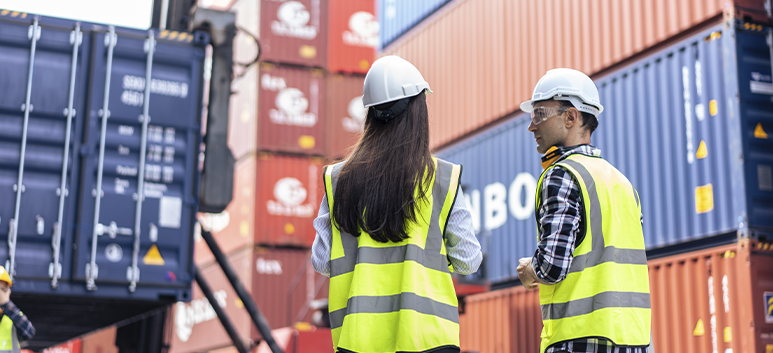 Logística y Administración en la Cadena de Suministro